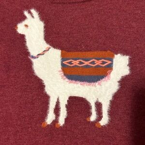 Sundance Burgundy Sweater, Sz Lg